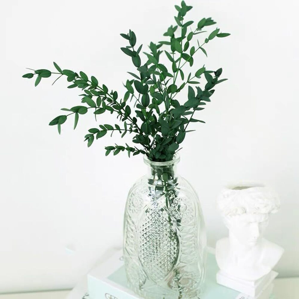 1560 50pcs Dried Eucalyptus Leaves Dried River Oats, Dried Chasmanthium - Picture 4 of 9